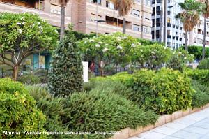 13 ALMERIA - RAMBLA FREDERICO GARCIA LORCA (49)